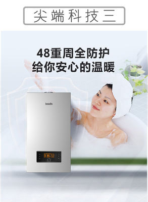 Τύπος εξάτμισης ισορροπίας Τείχος καυστήρα συνδυασμού αερίου ιδανικό για θέρμανση καθιστικού