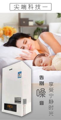 Τύπος εξάτμισης ισορροπίας Τείχος καυστήρα συνδυασμού αερίου ιδανικό για θέρμανση καθιστικού