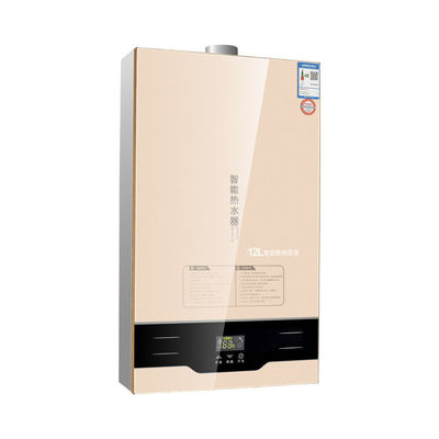 220V 36W ανοιχτό θερμαντήρα νερού αερίου καυσίμου για άμεσο ζεστό νερό σε οικιακές συσκευές