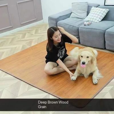 Ιδιωτικό μούχλα Οικιακό Χειμερινό Ηλεκτρικό Θέρμανση κουβέρτας 220V Μονό σώμα θερμοστάτη