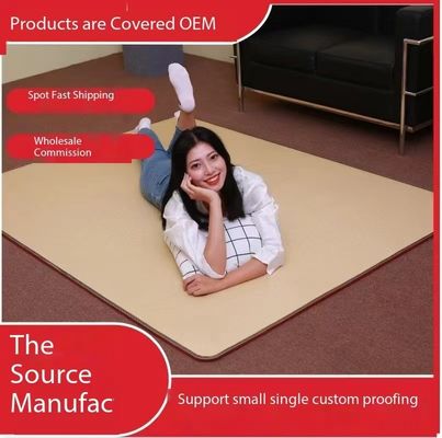 Ιδιωτικό μούχλα Οικιακό Χειμερινό Ηλεκτρικό Θέρμανση κουβέρτας 220V Μονό σώμα θερμοστάτη